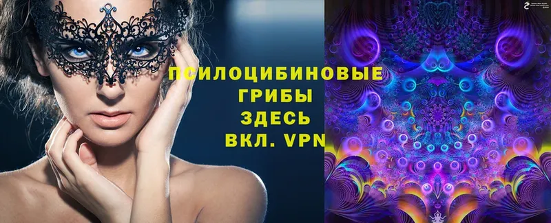 Галлюциногенные грибы Magic Shrooms  нарко площадка Telegram  Апрелевка  blacksprut онион 